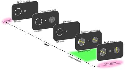 Decoding Adaptive Visuomotor Behavior Mediated by Non-linear Phase Coupling in Macaque Area MT